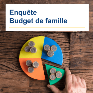 Enquête &laquo;&nbsp;Budget de Famille&nbsp;&raquo;