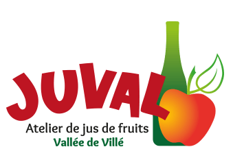 TRANSFORMEZ VOS FRUITS EN&nbsp;JUS